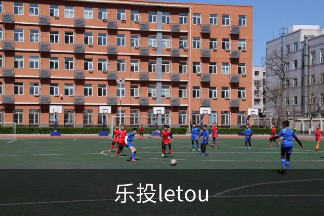 乐投letou公司简介展示图